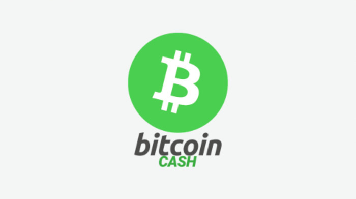 Bitcoin Cash (BCH) คืออะไร? ทิศทางอนาคตของ Bitcoin Cash